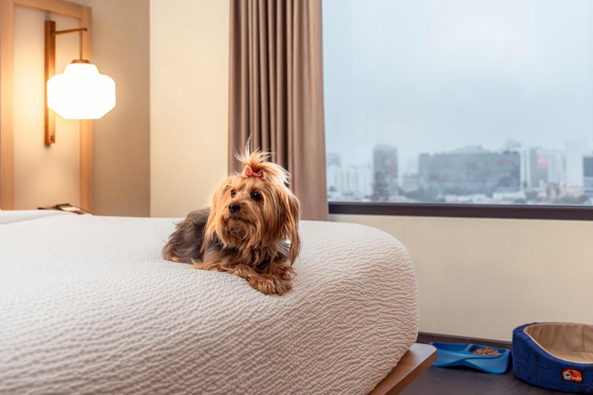 Fairfield By Marriott Lima Miraflores Exterior foto
